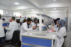 Biochemistry Laboratory /Faculty of Dentistry