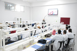  Laboratory of Dental Anatomy/Faculty of Dentistry