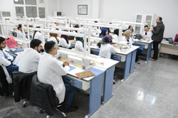  Laboratory of Dental Anatomy/Faculty of Dentistry