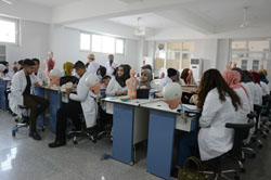  Laboratory of Anatomy/Faculty of Dentistry